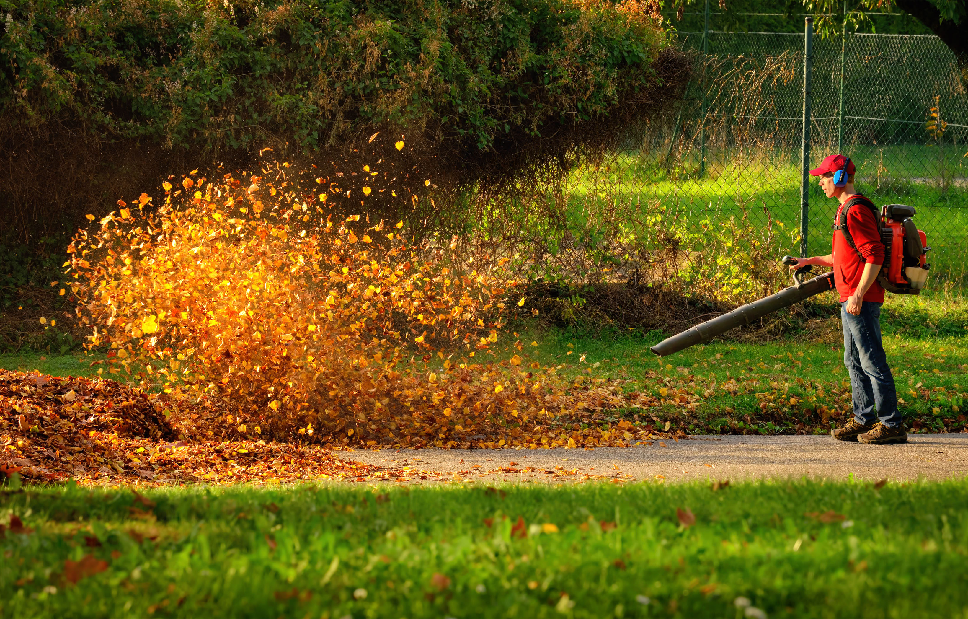 Image of leaf cleanup